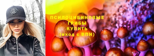 MDMA Бородино